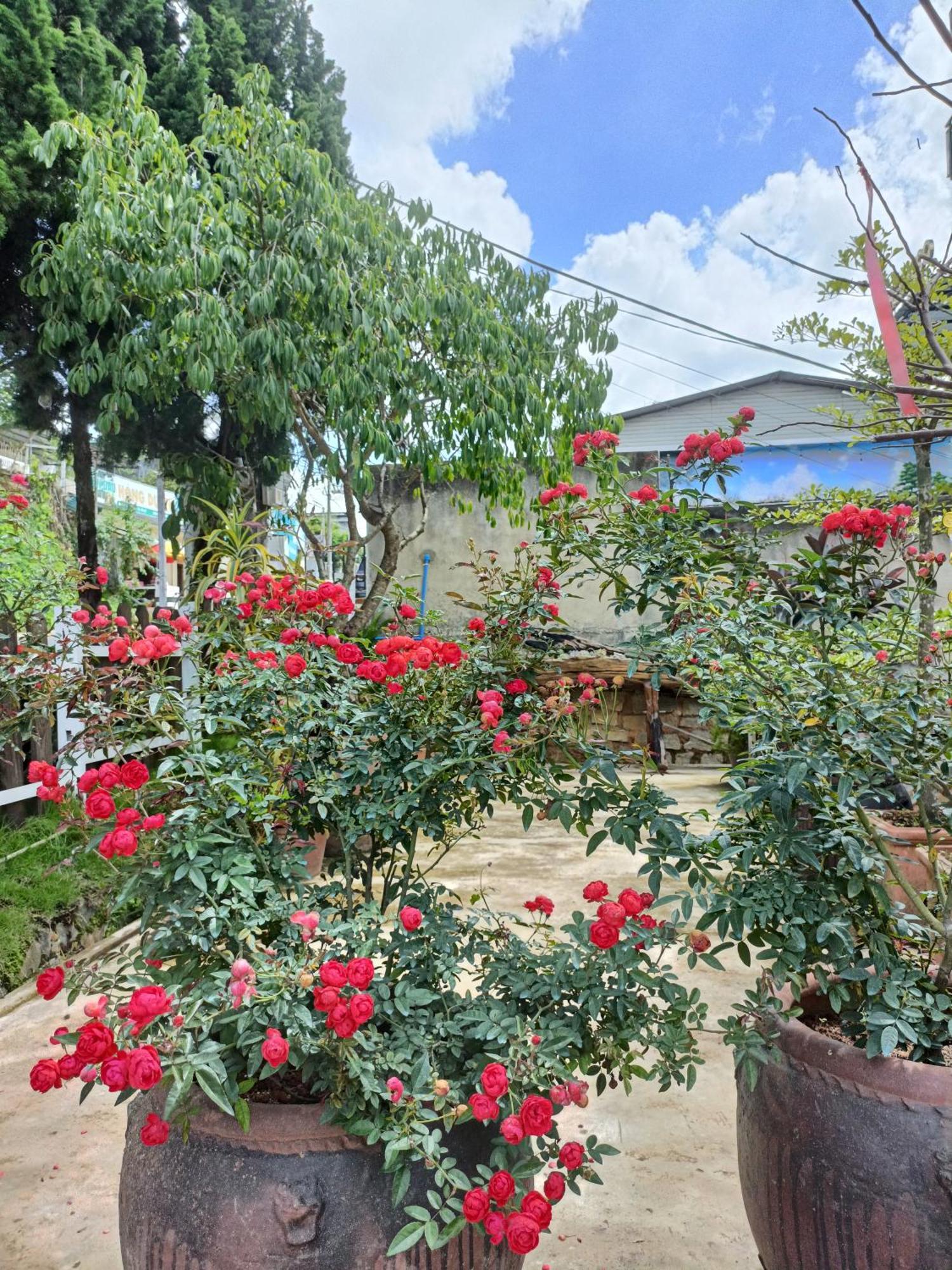 דה לאט Lalaland Homestay מראה חיצוני תמונה